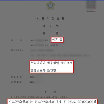 유책배우자 상대로 위자료 3,000만 원 청구 및 과도한 재산분할 방어해